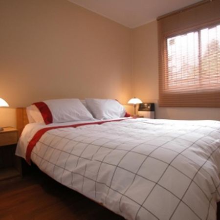 Apart Hotel Villa Los Ciruelos Валдивия Екстериор снимка